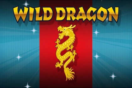 09129 wild dragon