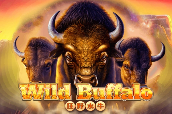 13736 wild buffalo